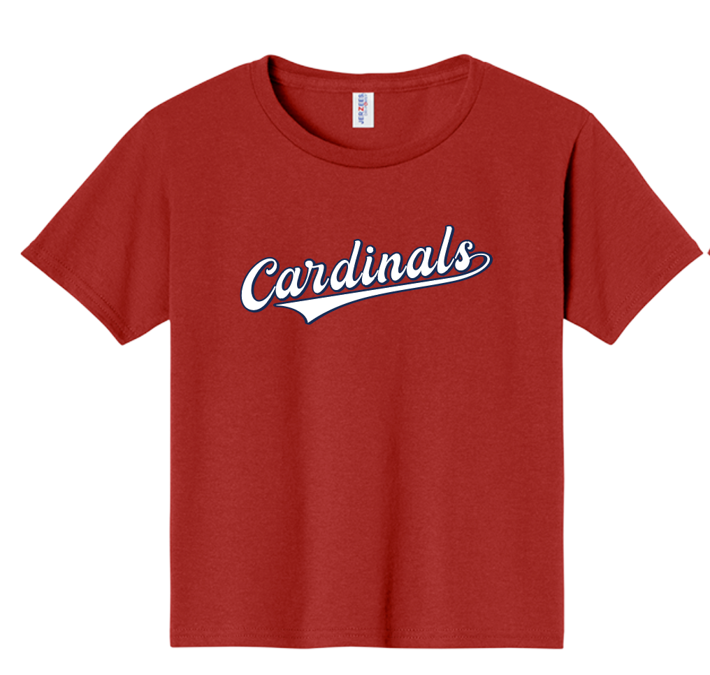 Team Jersey Tee - Adult Unisex
